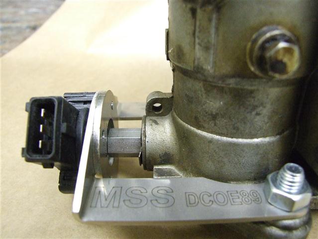 DSCF9692 (Medium) (Small).JPG