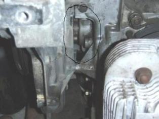 Kopie von P6090620.JPG