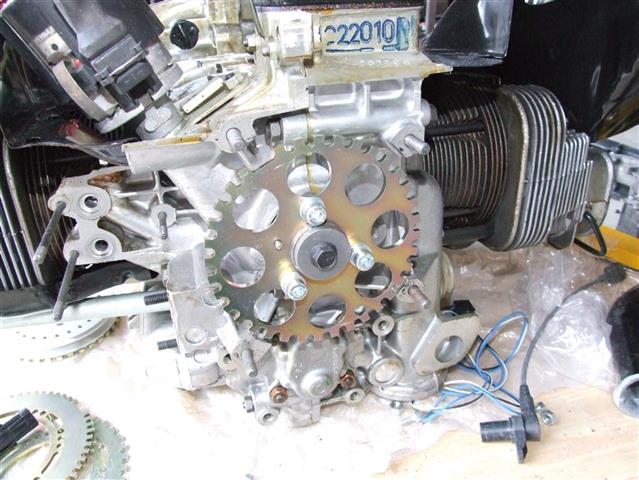 DSCF9914 (Medium) (Small).JPG