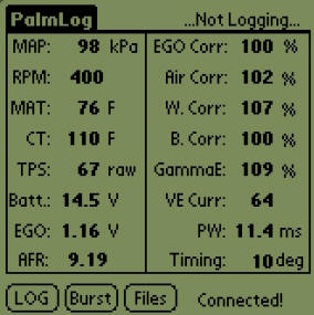 Palm1.jpg