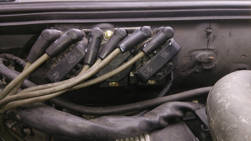 2016-03-10 12.34b.JPG